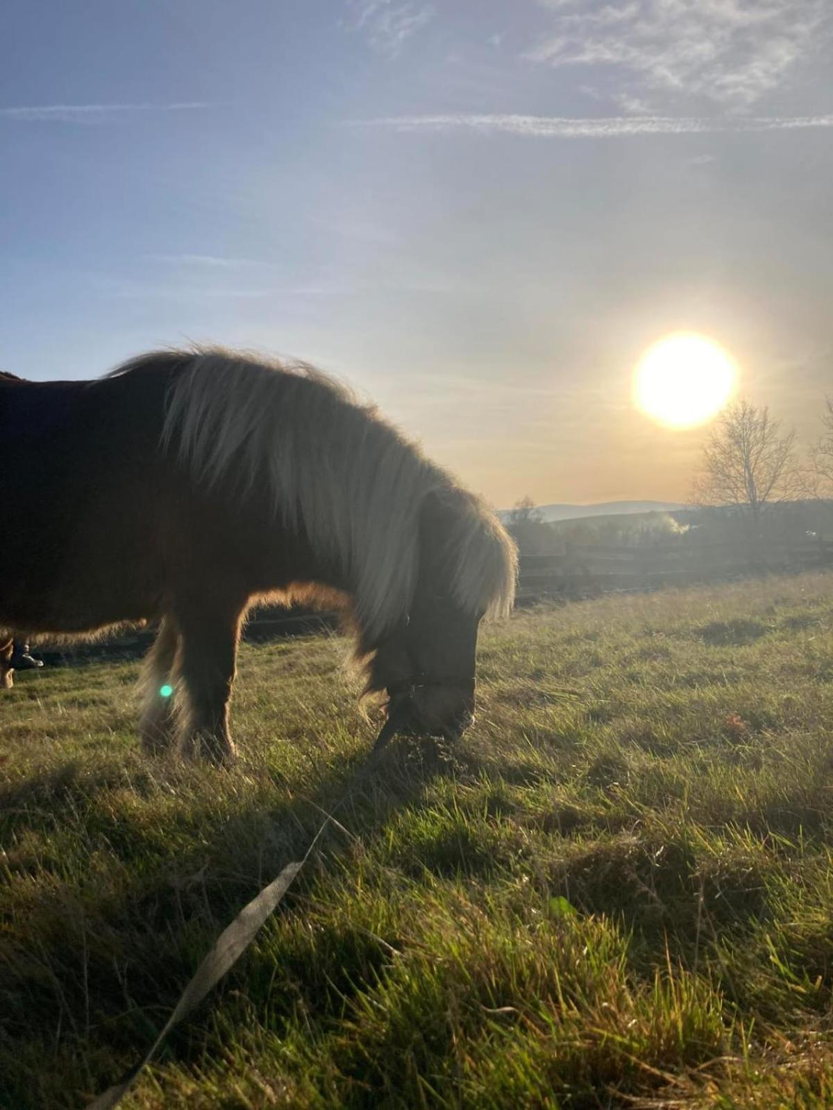 Villa Na Uboczu Gryfów Śląski Esterno foto