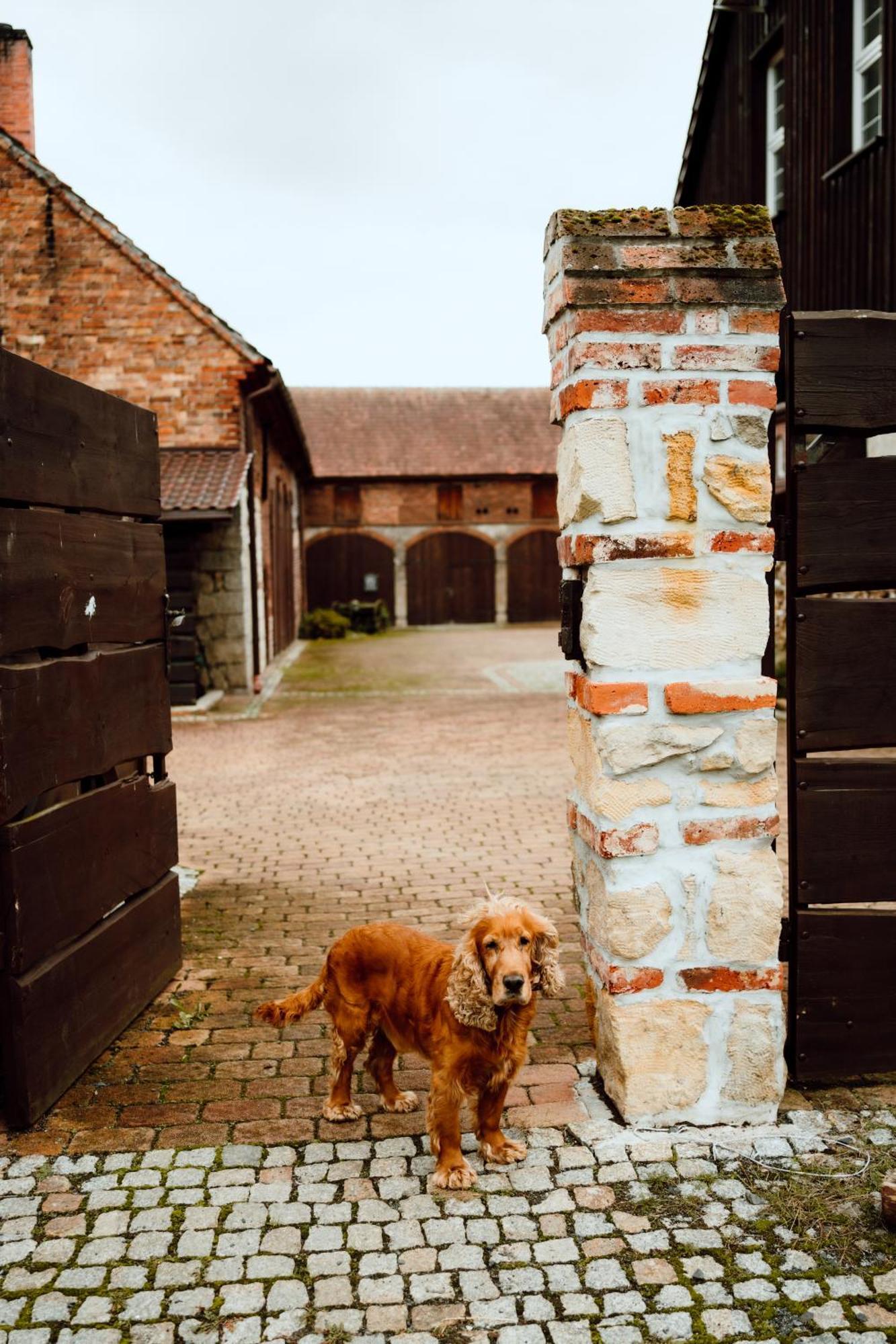 Villa Na Uboczu Gryfów Śląski Esterno foto