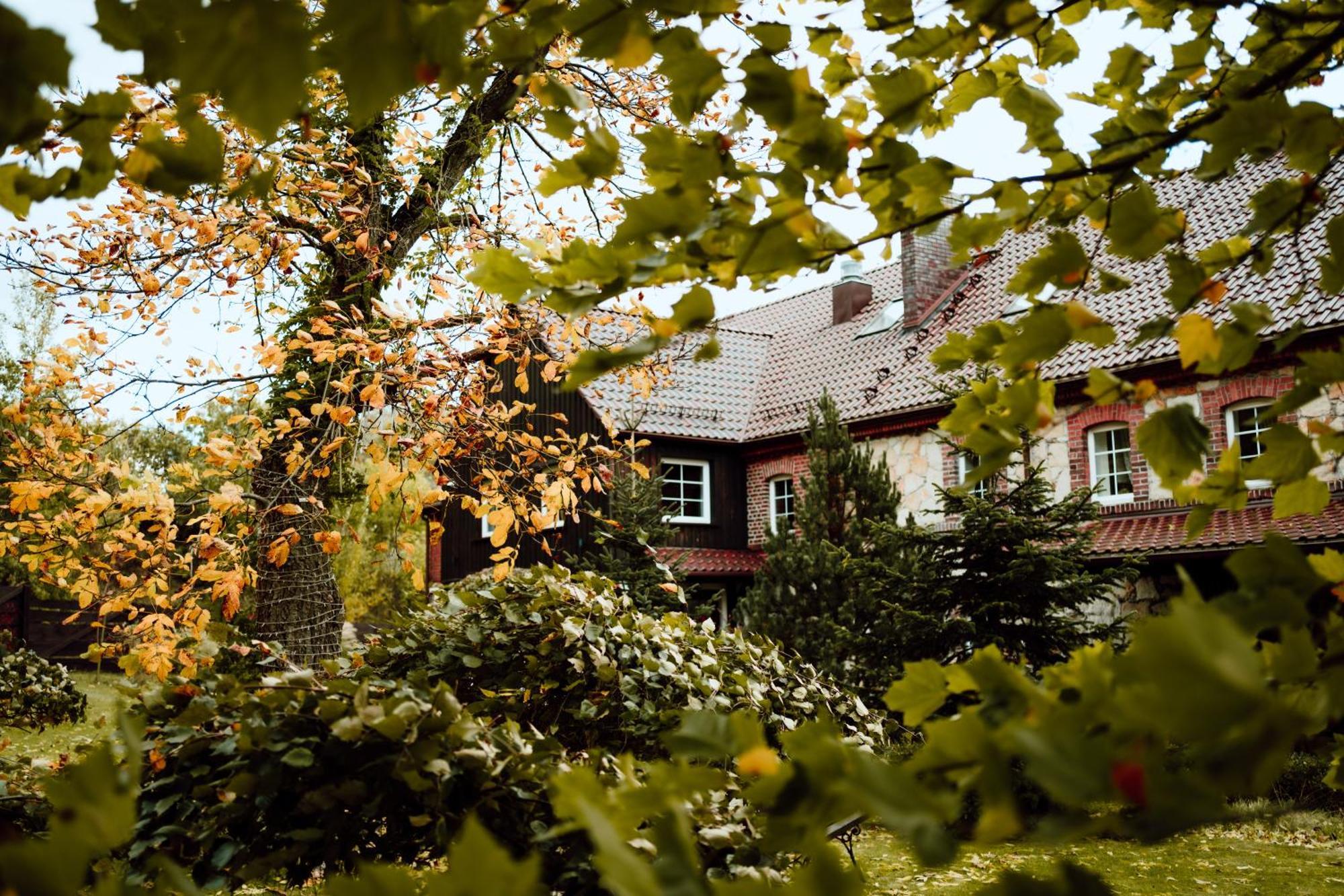 Villa Na Uboczu Gryfów Śląski Esterno foto