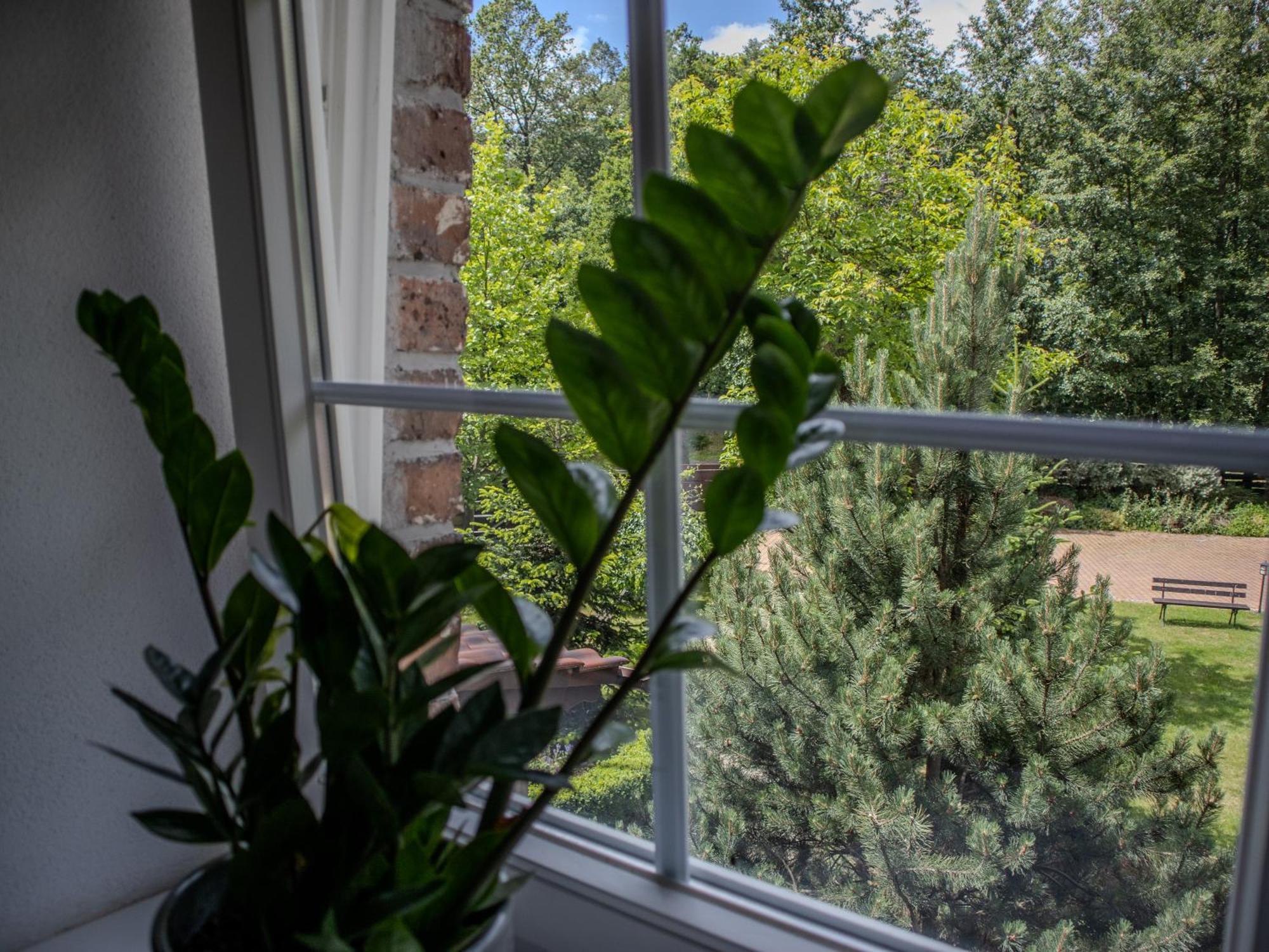 Villa Na Uboczu Gryfów Śląski Camera foto